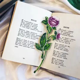 Брошь серебряная "Клевер" коллекции "Гербарий Татьяны Поляковой" Брошь серебряная "Клевер" коллекции "Гербарий Татьяны Поляковой"