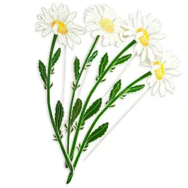 Брошь серебряная "Ромашка" коллекции "Гербарий Татьяны Поляковой" Брошь серебряная "Ромашка" коллекции "Гербарий Татьяны Поляковой"