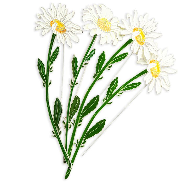 Silver brooch "Chamomile" of the collection "Herbarium of Tatyana Polyakova"