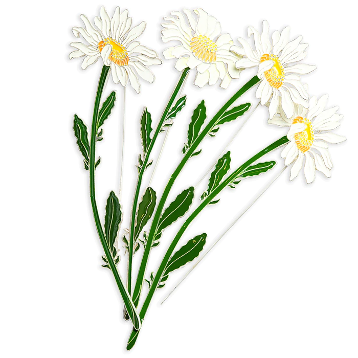 Silver brooch "Chamomile" of the collection "Herbarium of Tatyana Polyakova"