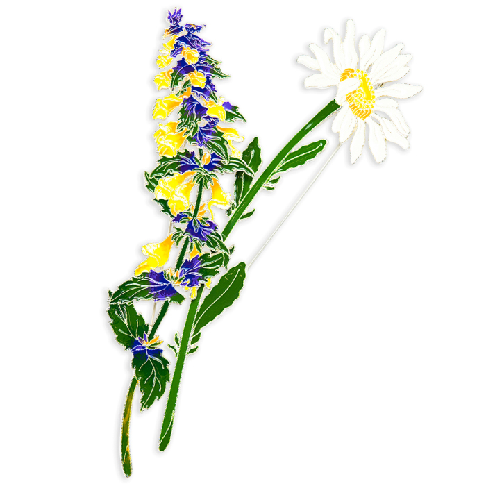 Silver brooch "Chamomile" of the collection "Herbarium of Tatyana Polyakova"