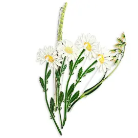 Брошь серебряная "Ромашка" коллекции "Гербарий Татьяны Поляковой" Брошь серебряная "Ромашка" коллекции "Гербарий Татьяны Поляковой"