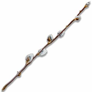 Silver brooch "Willow" from the collection "Herbarium of Tatyana Polyakova"