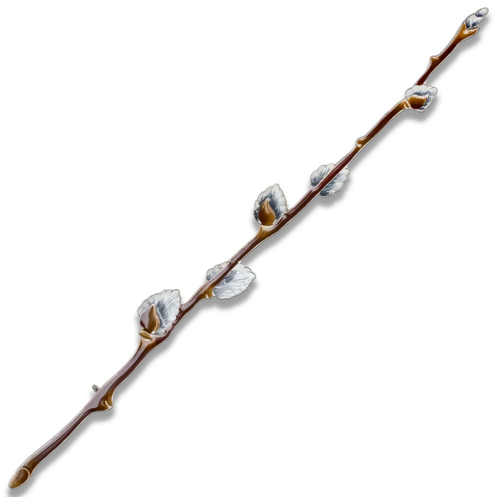 Silver brooch "Willow" from the collection "Herbarium of Tatyana Polyakova"