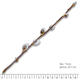 Silver brooch "Willow" from the collection "Herbarium of Tatyana Polyakova"