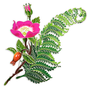 Silver brooch "Fern" from the collection "Herbarium of Tatyana Polyakova"