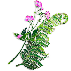 Silver brooch "Fern" from the collection "Herbarium of Tatyana Polyakova"