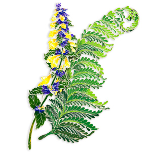Silver brooch "Fern" from the collection "Herbarium of Tatyana Polyakova"
