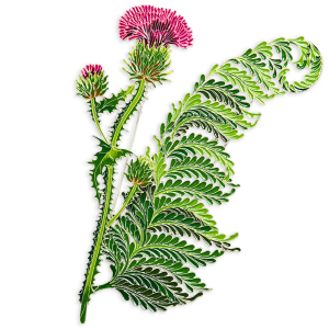 Silver brooch "Fern" from the collection "Herbarium of Tatyana Polyakova"