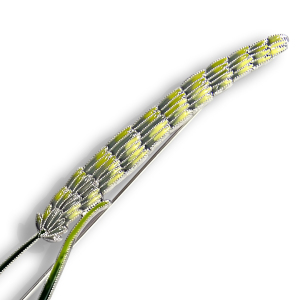 Silver brooch "Timofeevka lugovaya" collection "Herbarium of Tatyana Polyakova"