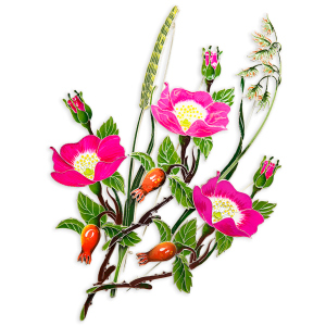 Silver brooch "Timofeevka lugovaya" collection "Herbarium of Tatyana Polyakova"
