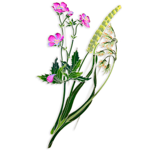Silver brooch "Timofeevka lugovaya" collection "Herbarium of Tatyana Polyakova"