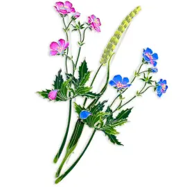 Брошь серебряная "Тимофеевка луговая" коллекции "Гербарий Татьяны Поляковой" Брошь серебряная "Тимофеевка луговая" коллекции "Гербарий Татьяны Поляковой"