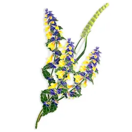 Брошь серебряная "Тимофеевка луговая" коллекции "Гербарий Татьяны Поляковой" Брошь серебряная "Тимофеевка луговая" коллекции "Гербарий Татьяны Поляковой"