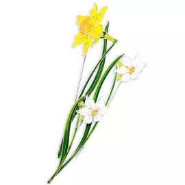 Silver brooch "Narcissus poetic" small, collections "Herbarium of Tatiana Polyakova"