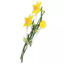 Silver brooch "Narcissus incomparable" from the collection "Herbarium of Tatyana Polyakova"