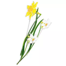 Silver brooch "Narcissus incomparable" from the collection "Herbarium of Tatyana Polyakova"