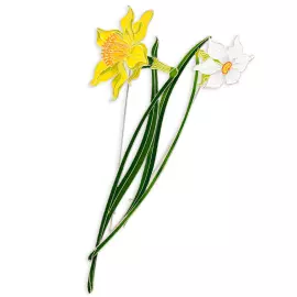 Silver brooch "Narcissus poetic" collection "Herbarium of Tatiana Polyakova"