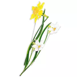 Silver brooch "Narcissus poetic" collection "Herbarium of Tatiana Polyakova"