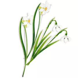 Silver brooch "Narcissus poetic" collection "Herbarium of Tatiana Polyakova"