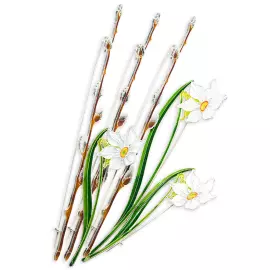 Silver brooch "Narcissus poetic" collection "Herbarium of Tatiana Polyakova"