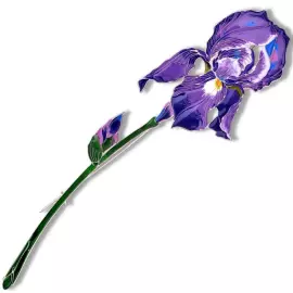 Silver brooch "Iris" from the collection "Herbarium of Tatyana Polyakova"