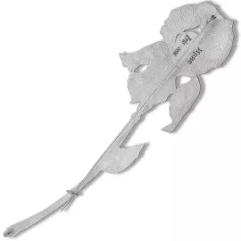 Silver brooch "Iris" from the collection "Herbarium of Tatyana Polyakova"