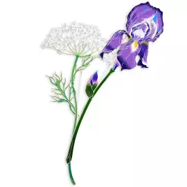 Silver brooch "Iris" from the collection "Herbarium of Tatyana Polyakova"