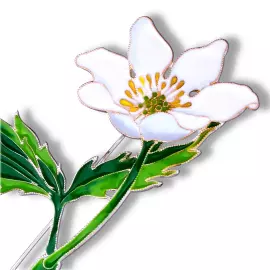 Silver brooch "Anemone" of the collection "Herbarium of Tatyana Polyakova"