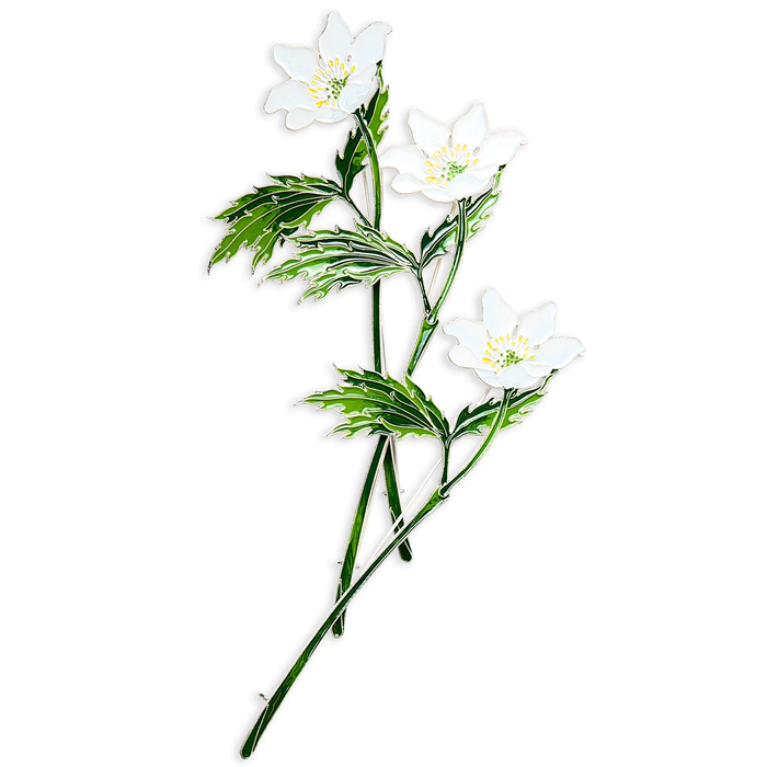 Silver brooch "Anemone" of the collection "Herbarium of Tatyana Polyakova"