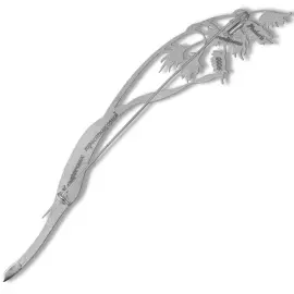 Silver brooch "Canary reed" collection "Herbarium of Tatiana Polyakova"