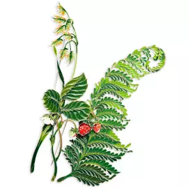 Silver brooch "Canary reed" collection "Herbarium of Tatiana Polyakova"