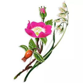 Silver brooch "Canary reed" collection "Herbarium of Tatiana Polyakova"