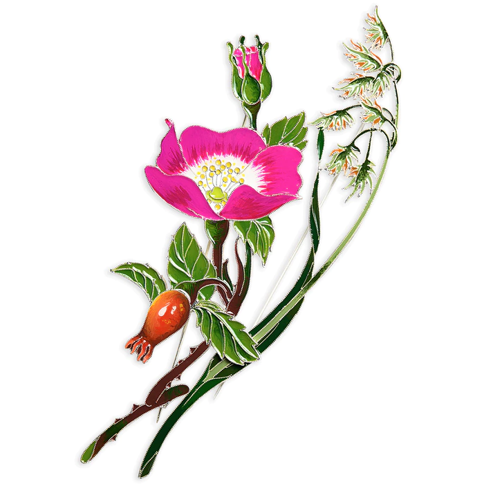Silver brooch "Canary reed" collection "Herbarium of Tatiana Polyakova"