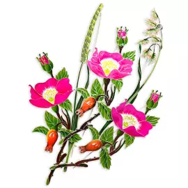 Silver brooch "Canary reed" collection "Herbarium of Tatiana Polyakova"