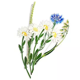 Silver brooch "Canary reed" collection "Herbarium of Tatiana Polyakova"