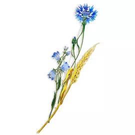 Брошь серебряная "Василек" коллекции "Гербарий Татьяны Поляковой"