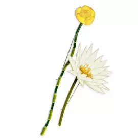 Silver brooch "Cup" of the collection "Herbarium of Tatyana Polyakova"