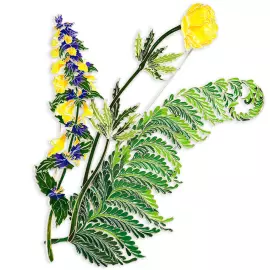 Silver brooch "Kupalnitsa" collection "Herbarium of Tatyana Polyakova"