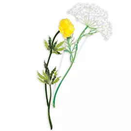 Silver brooch "Kupalnitsa" collection "Herbarium of Tatyana Polyakova"