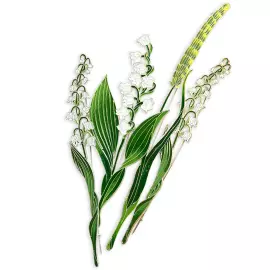 Silver brooch "Lily of the Valley broad-leaved" collection "Herbarium of Tatiana Polyakova"