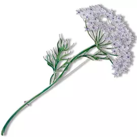 Silver brooch "Dudnik" from the collection "Herbarium of Tatyana Polyakova"