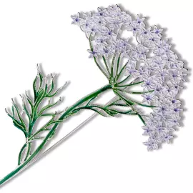 Silver brooch "Dudnik" from the collection "Herbarium of Tatyana Polyakova"