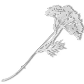 Silver brooch "Dudnik" from the collection "Herbarium of Tatyana Polyakova"