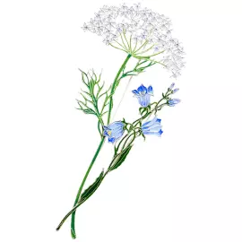 Silver brooch "Dudnik" from the collection "Herbarium of Tatyana Polyakova"