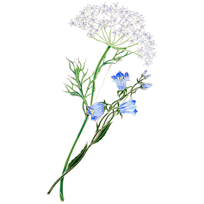 Silver brooch "Dudnik" from the collection "Herbarium of Tatyana Polyakova"