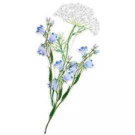 Silver brooch "Dudnik" from the collection "Herbarium of Tatyana Polyakova"