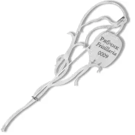 Silver brooch "Grouse" from the collection "Herbarium of Tatyana Polyakova"