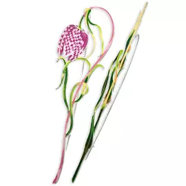 Silver brooch "Grouse" from the collection "Herbarium of Tatyana Polyakova"