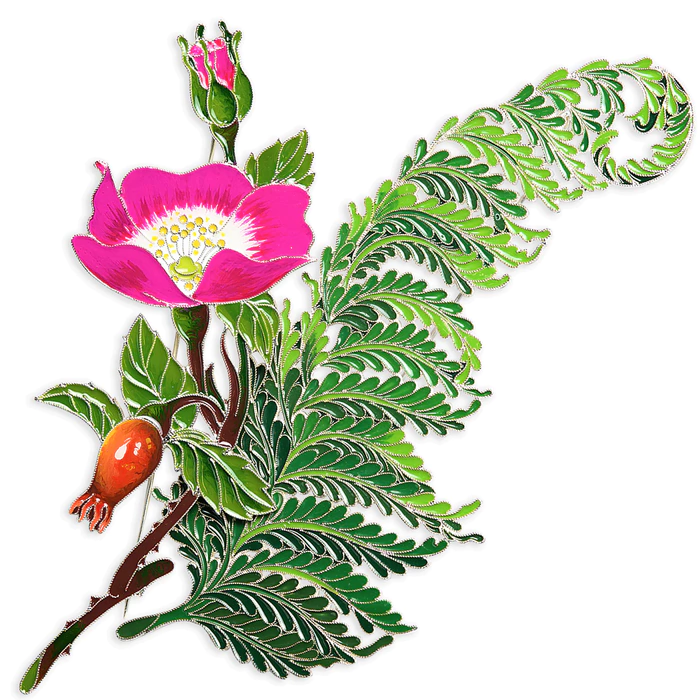 Silver brooch "Rosehip" collection "Herbarium of Tatiana Polyakova"
